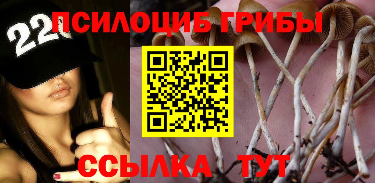 Нижнекамск  Галлюциногенные грибы прущие грибы  Вход с VPN 